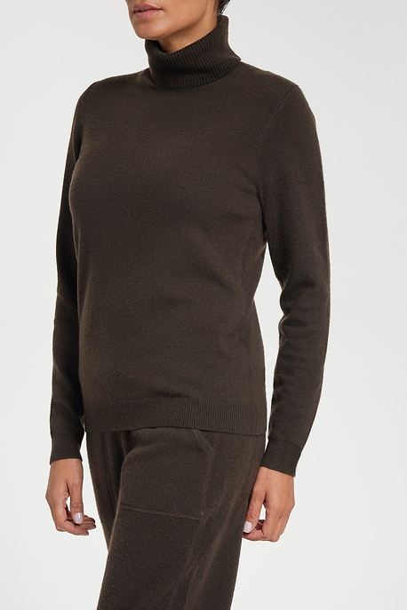 Emily Cashmere Turtleneck Sweater