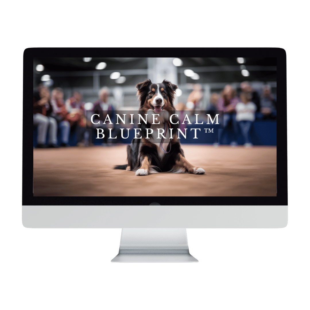 A computer screen displaying a calm dog with 'Canine Calm Blueprint' text overlaid.