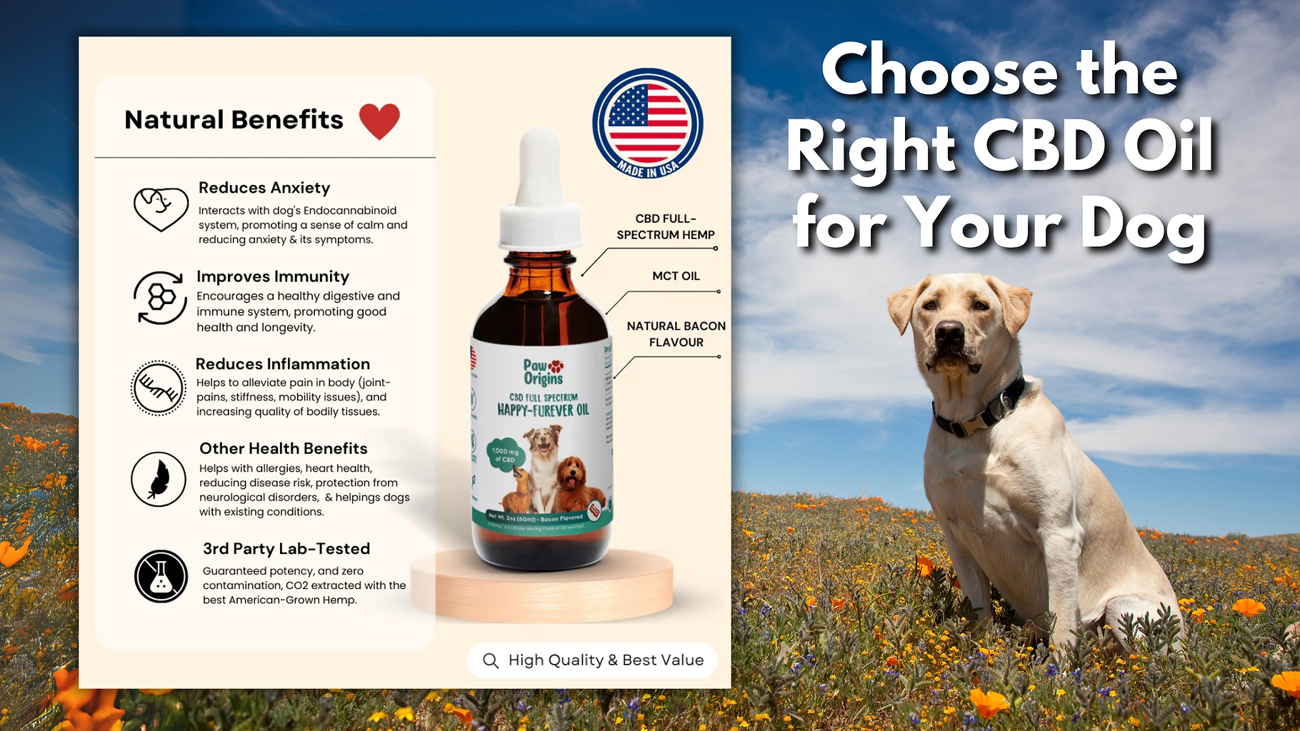 Choose the Right CBD Product for Your Dog