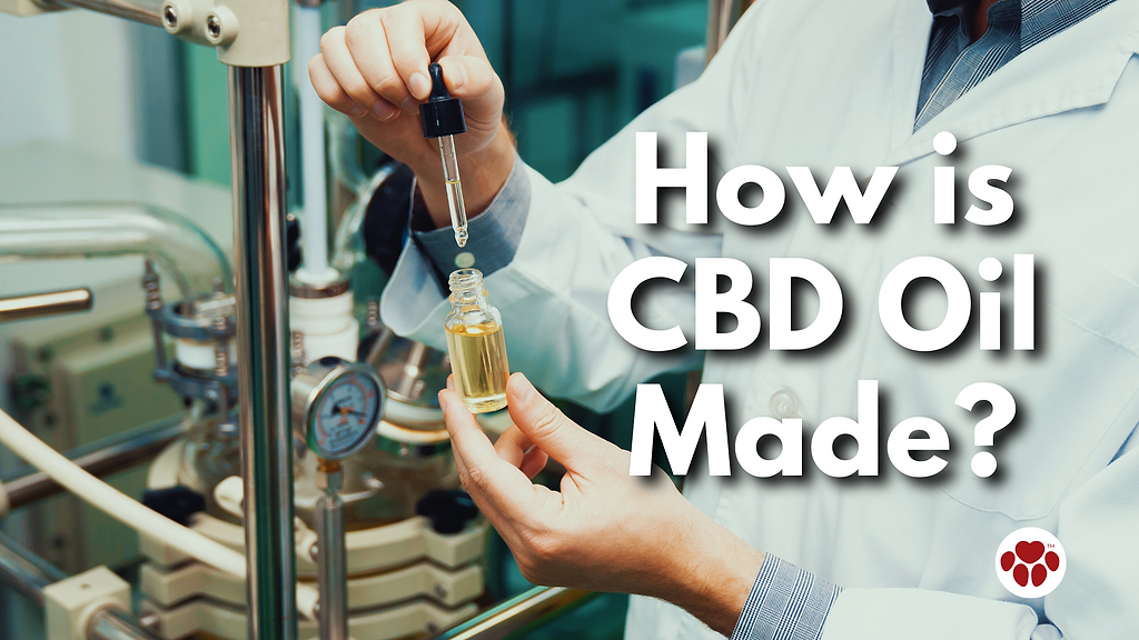 How is CBD Oil Made
