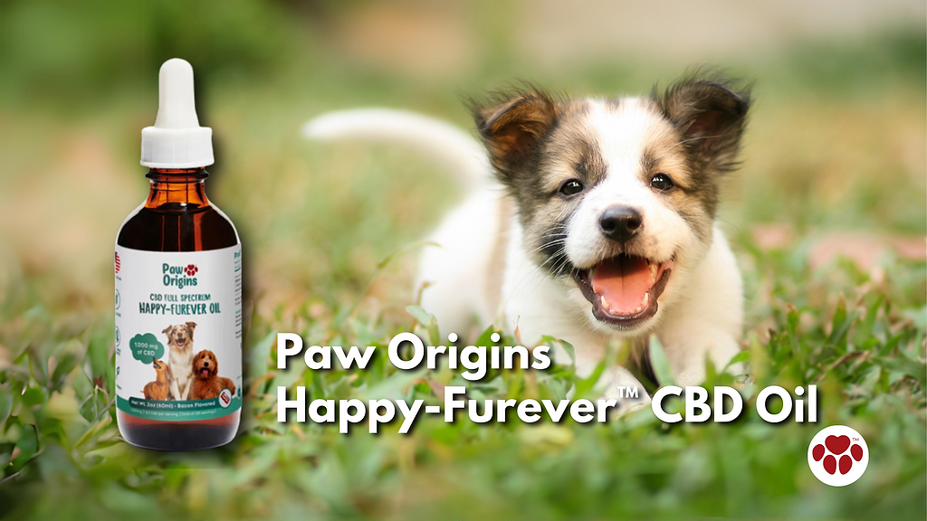 Paw Origins Happy-Furever™ CBD Oil