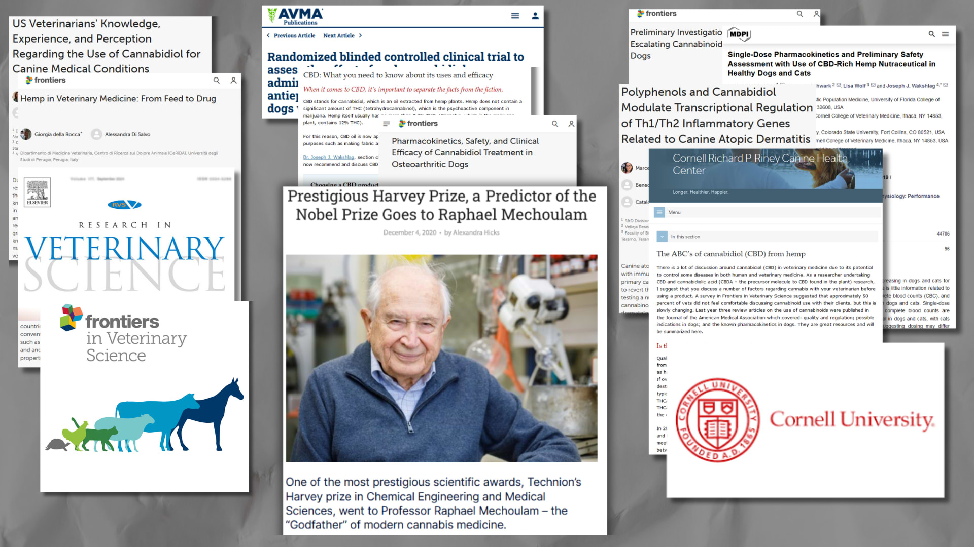 Collage of articles and research on veterinary use of cannabidiol for dogs with Cornell University logo.
