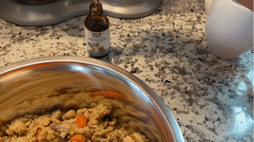 A bottle of pet supplement next to a bowl of dog food on a kitchen counter.