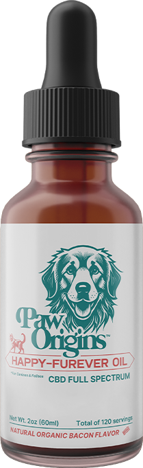'Paw Origins CBD oil for pets in 60ml bottle with dropper.'