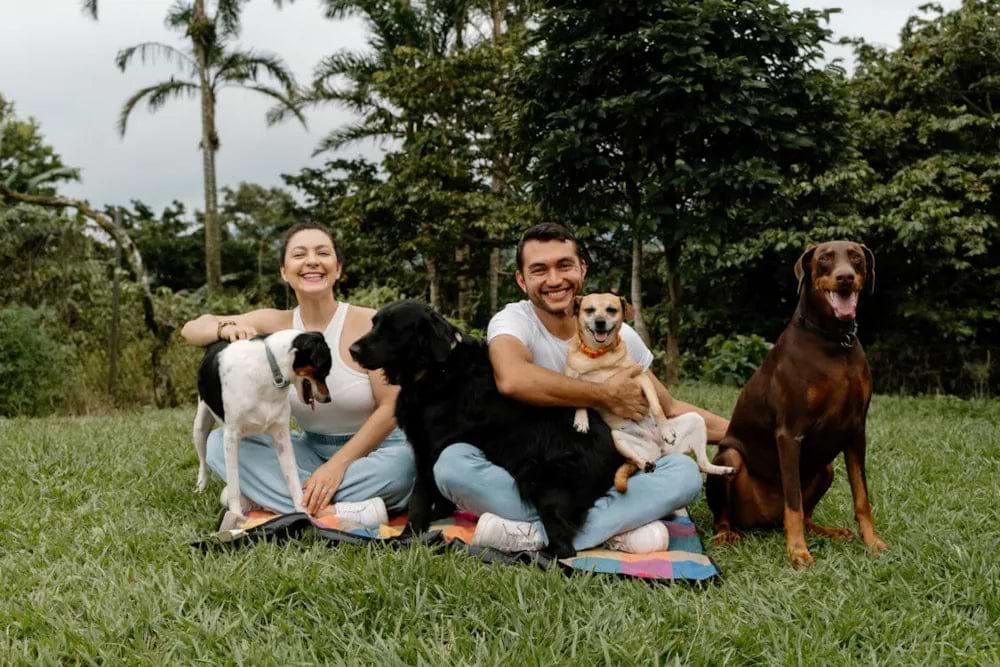 A smiling couple sits on a colorful blanket outdoors, surrounded by four happy dogs of various breeds, in a lush, green park setting.