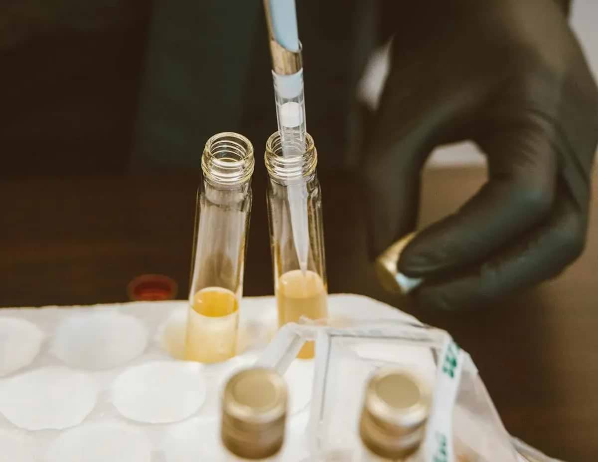 A gloved hand uses a pipette to transfer liquid into glass test tubes containing yellowish fluid, set on a laboratory workstation.