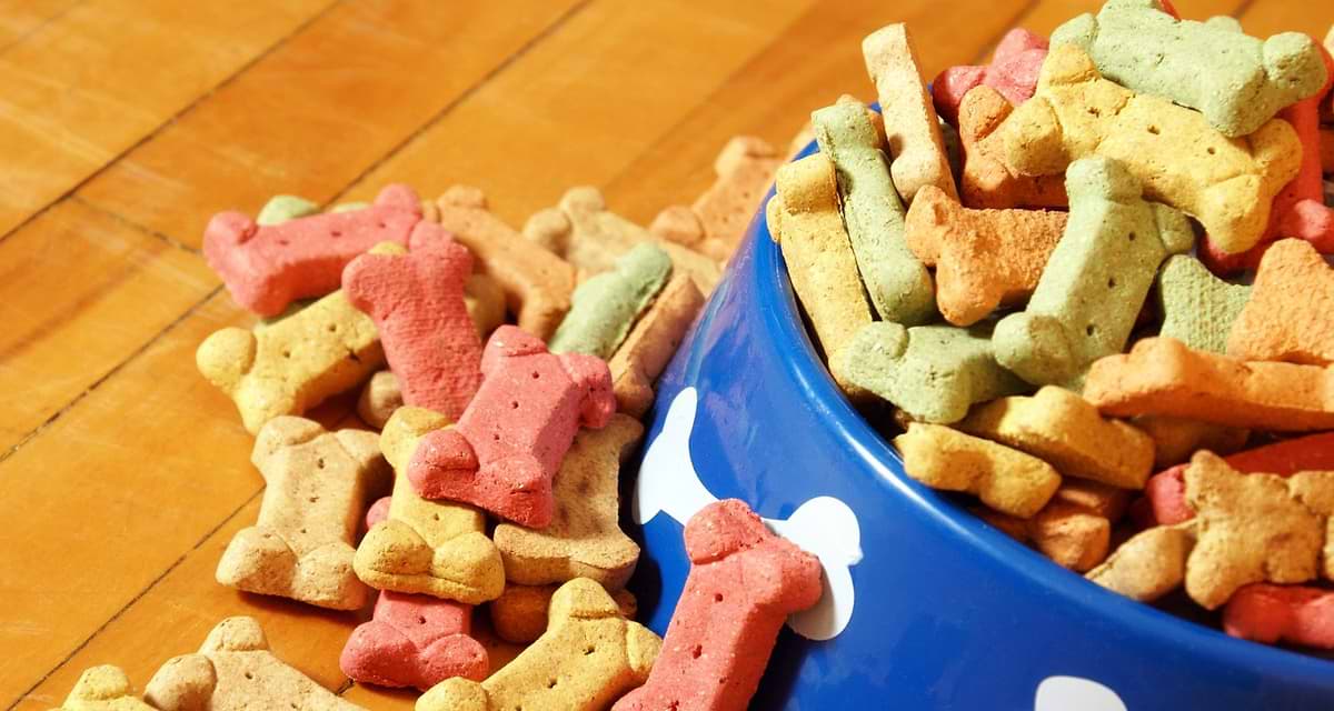 Best CBD chews
