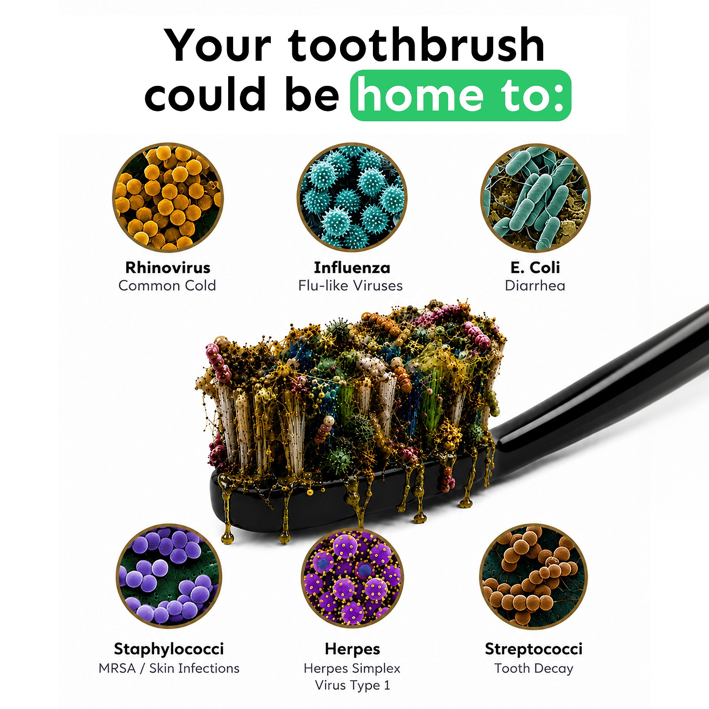 UV Toothbrush Steriliser