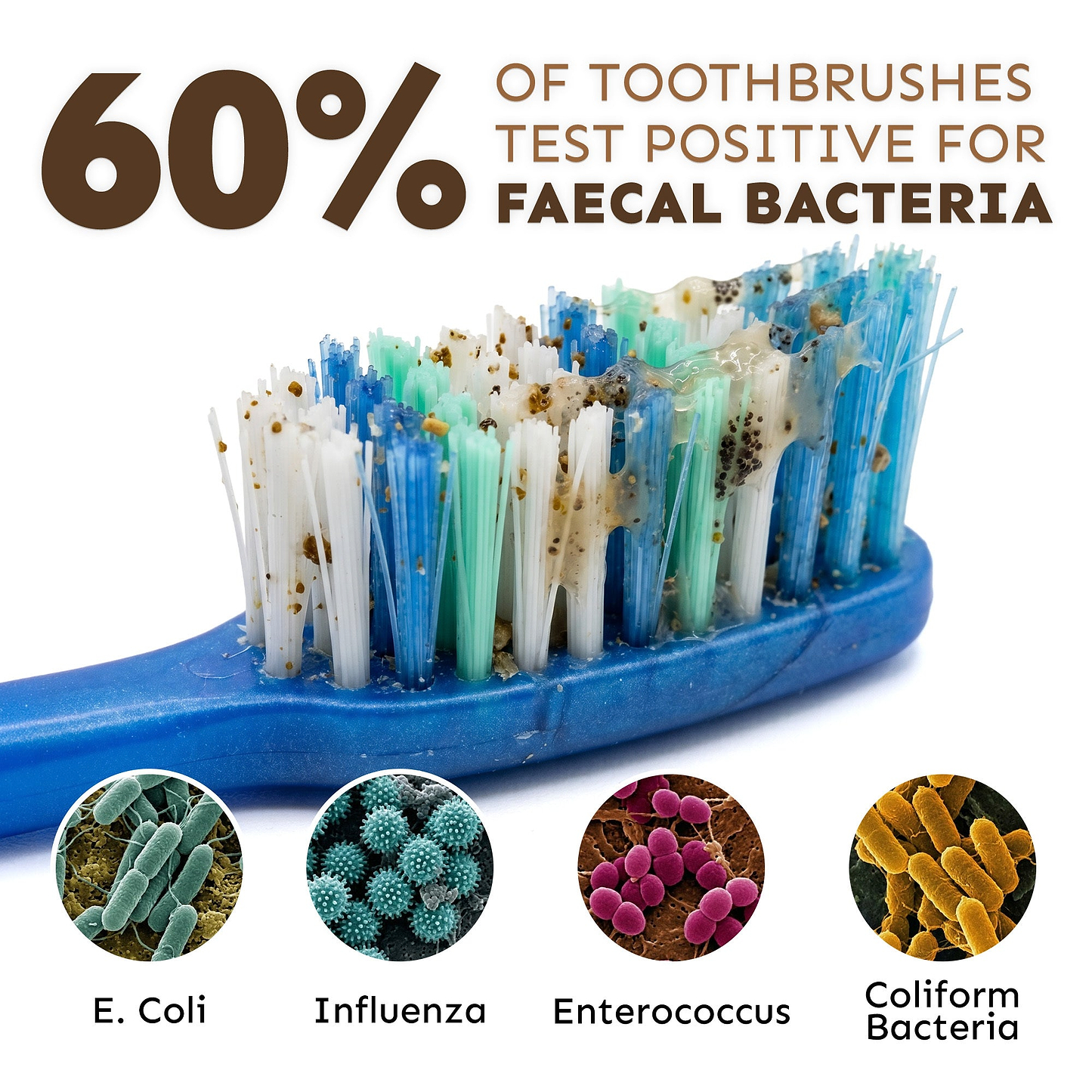 UV Toothbrush Steriliser