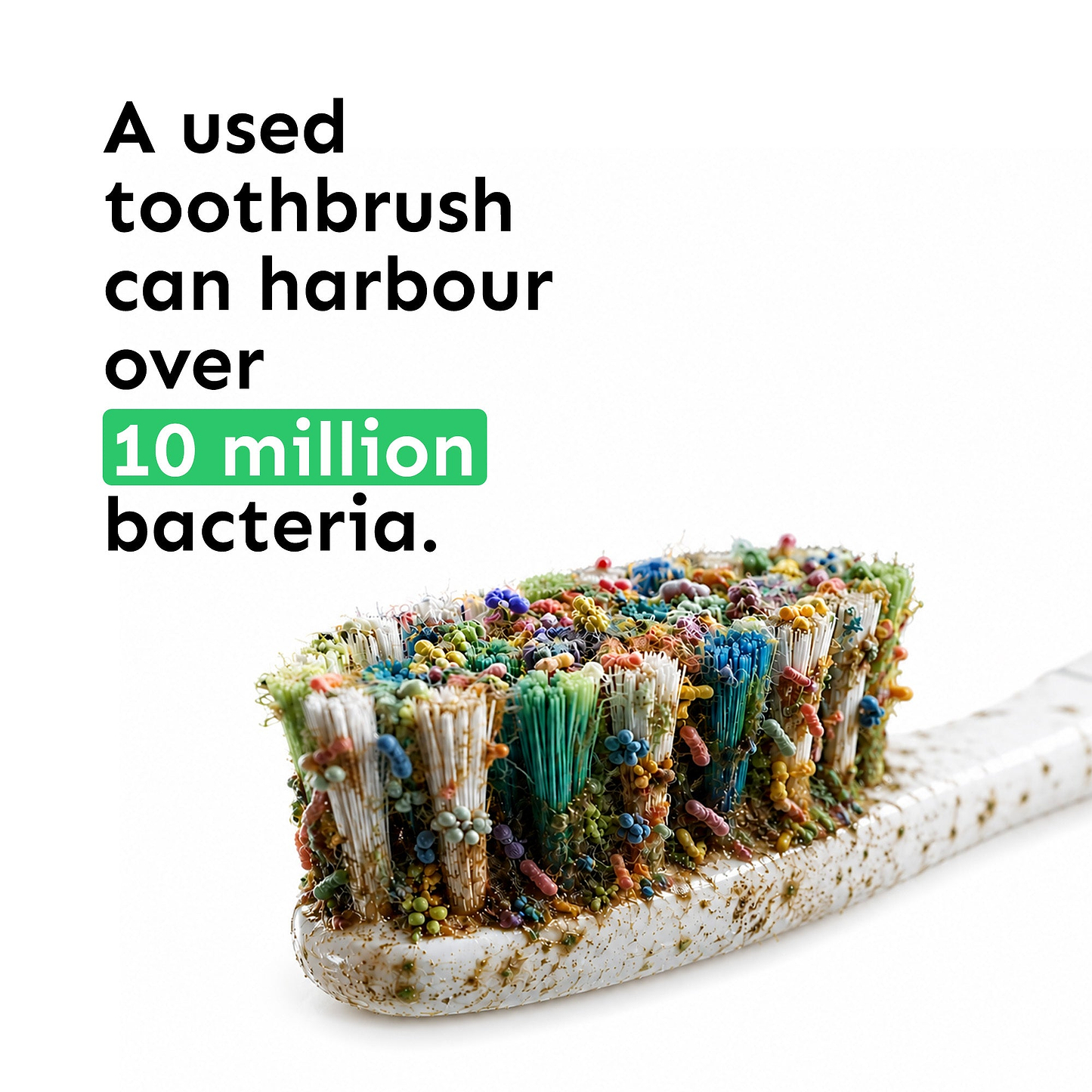 UV Toothbrush Steriliser