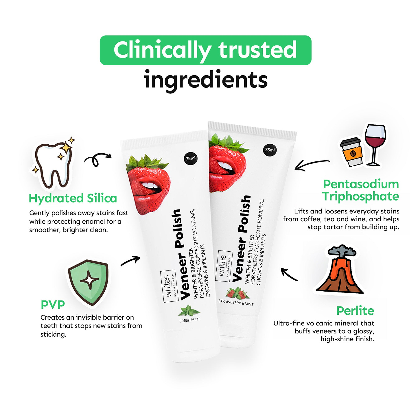 Veneer Maintenance Kit (Fresh Mint)