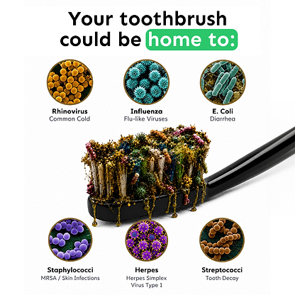 UV Toothbrush Steriliser