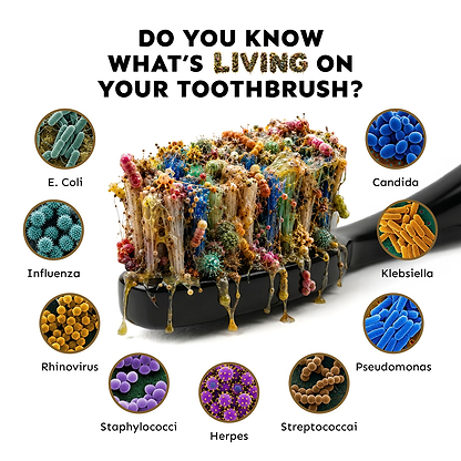 UV Toothbrush Steriliser