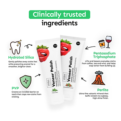 Veneer Maintenance Kit (Fresh Mint)