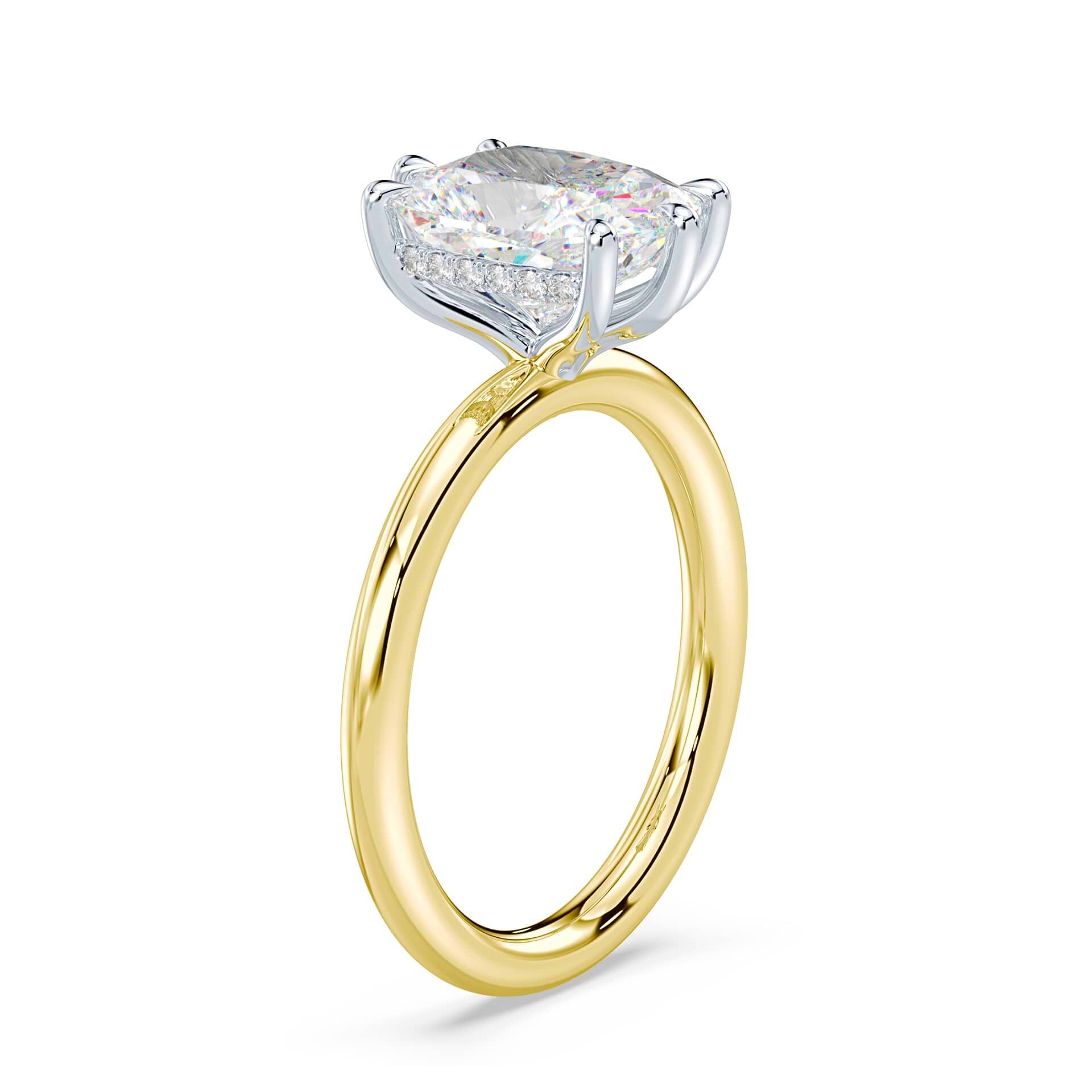 Elongated Cushion Cut Hidden Halo – Plum