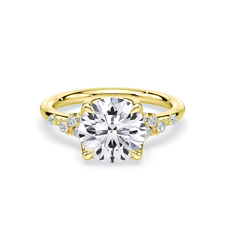 Round Cut 3.20ct Petals Cluster Ring