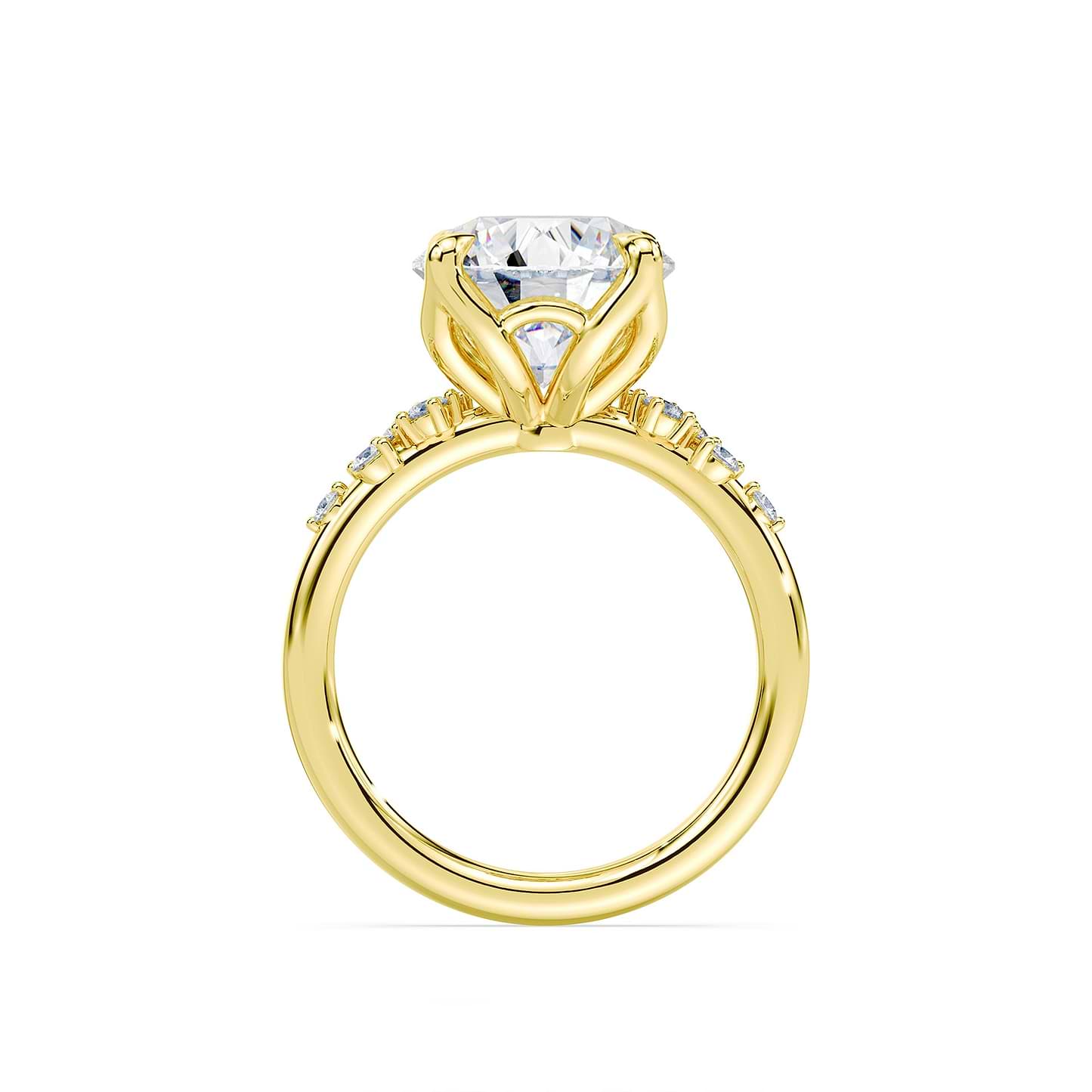 Round Cut 3.20ct Petals Cluster Ring