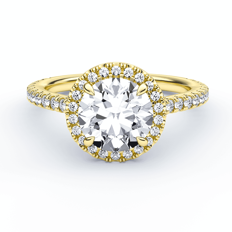 THE ROUND HALO