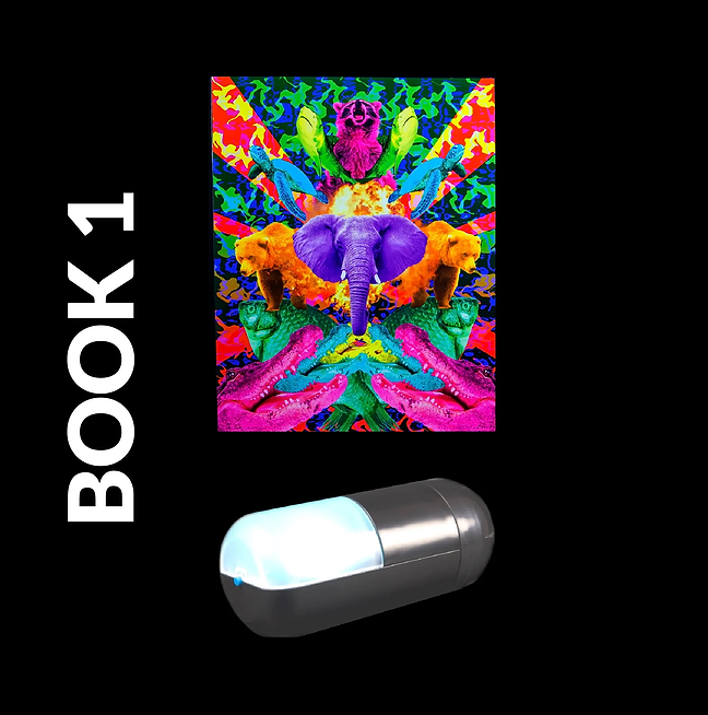 Colorizer + 1 Visuals Book