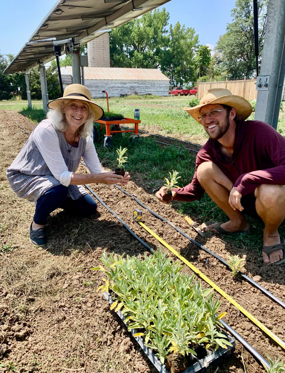 Catherine Hunziker at Jack's Solar Garden researching agrivoltaics and medical plants.