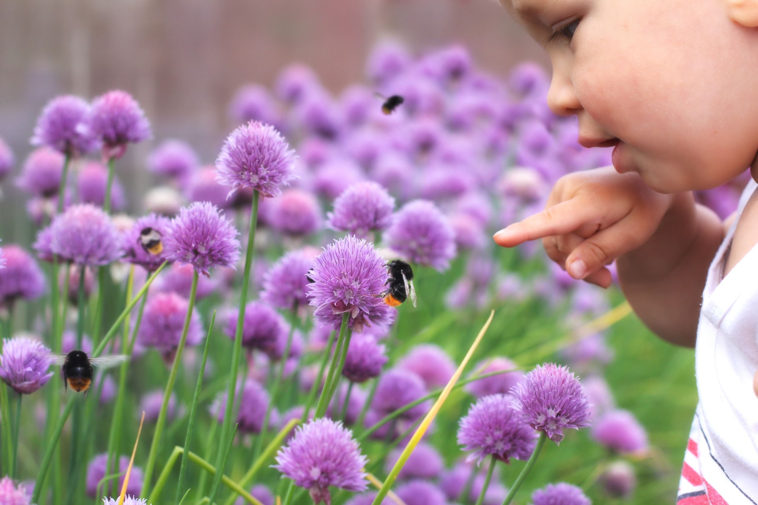 Child with bee