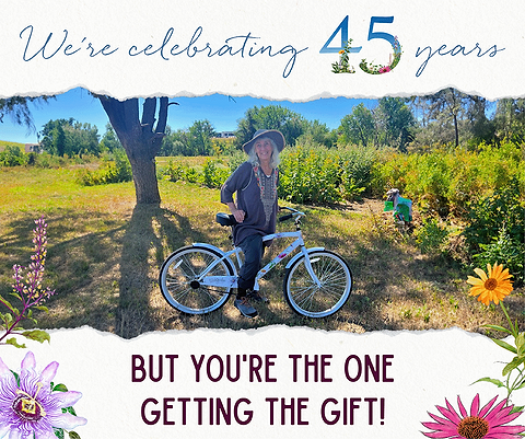 We’re celebrating 45 years, but you’re the one getting the gift!