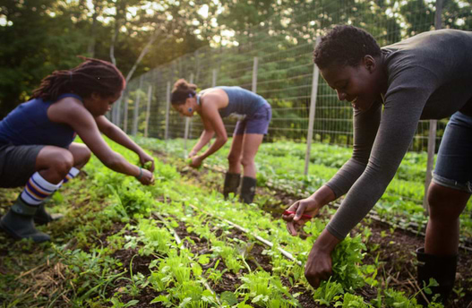 Farmers at Soul Fire Farm