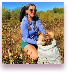 Lynn DiDomenico Certified Herbalist, Quality Control Specialist at WishGarden Herbs
