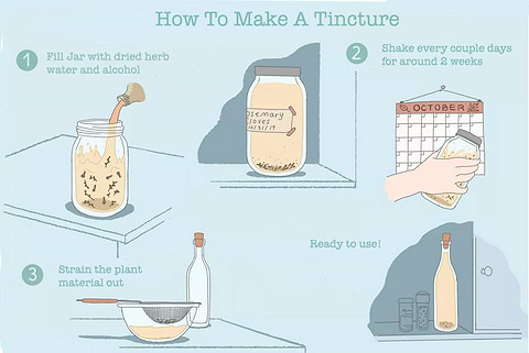 How to make an herbal tincture