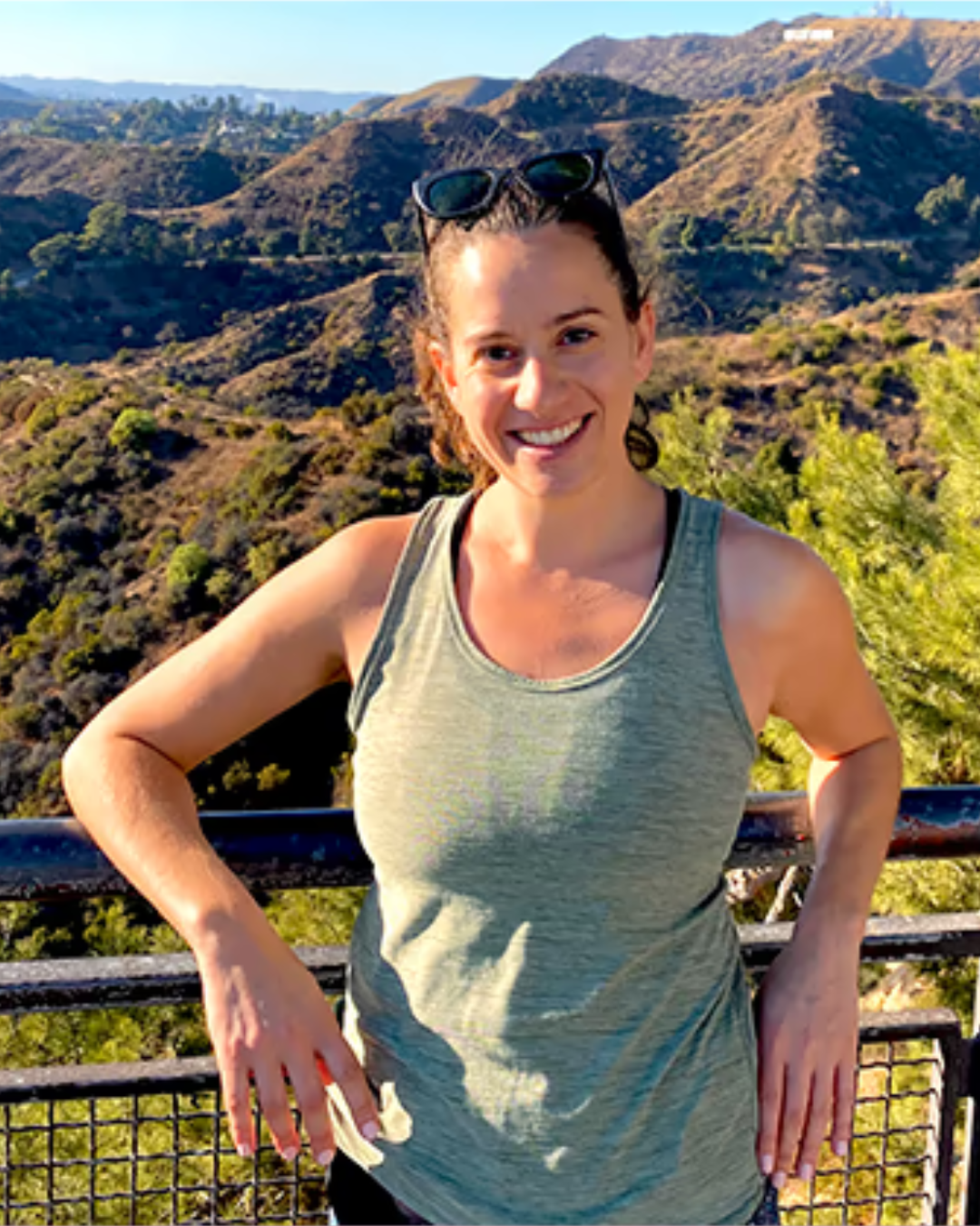 Describes the appearance of the image