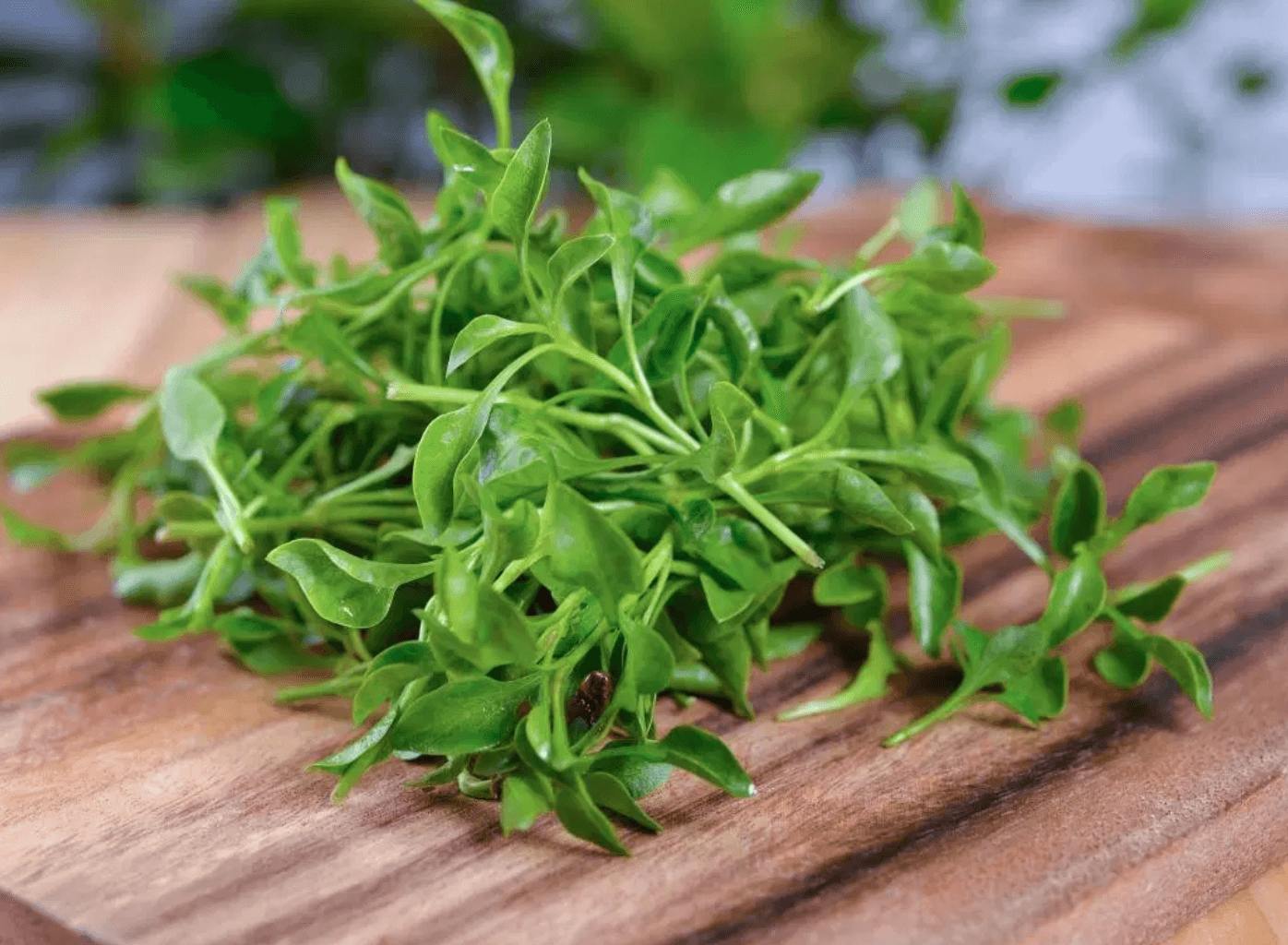 Watercress