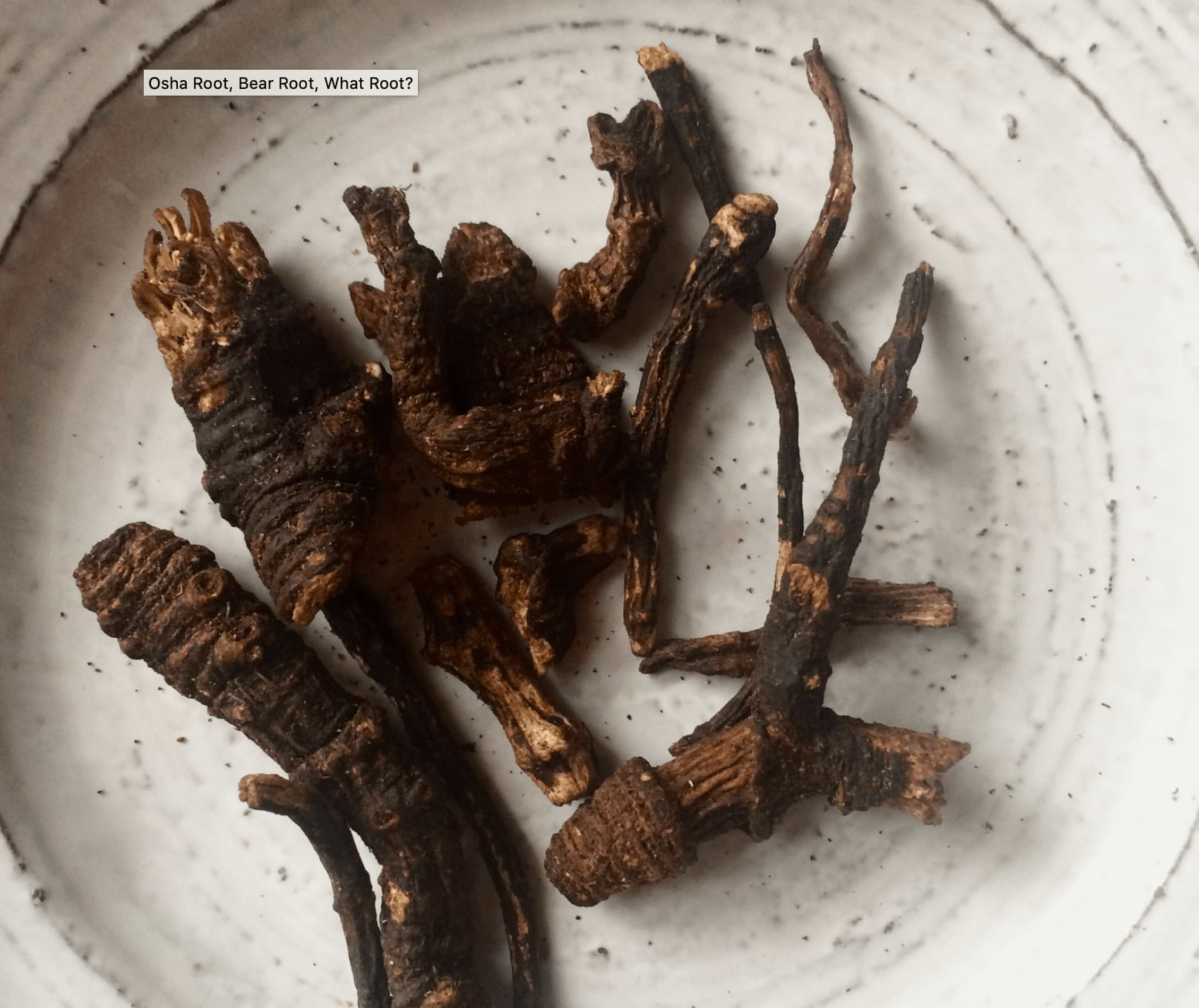 Osha Root