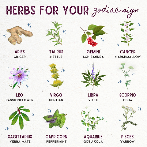 Zodiac Botanicals: Discover Your Herbal Soulmate