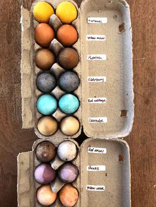 eggs dyed with botanicals