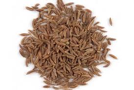Caraway