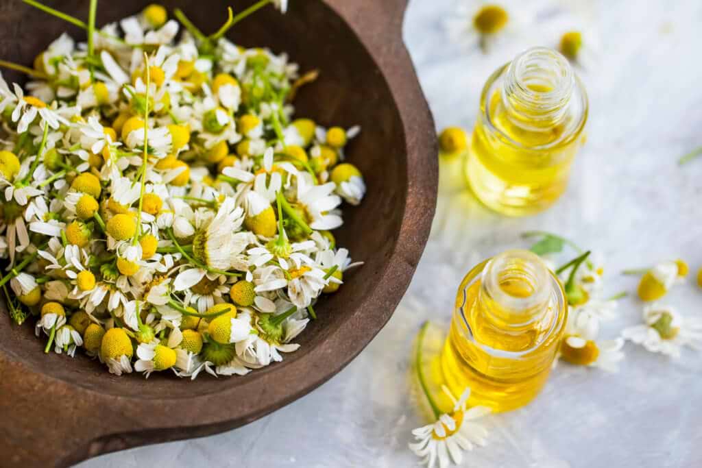 Chamomile