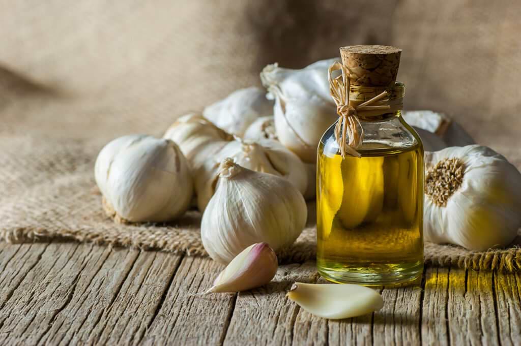 Garlic