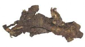 Esha -root