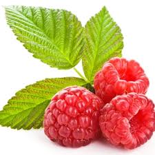 Raspberry Leaf