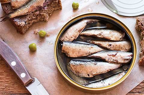 sardines