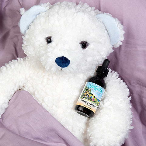 WishGarden Herbs Sleepy Nights & Fresh Mornings For Kids