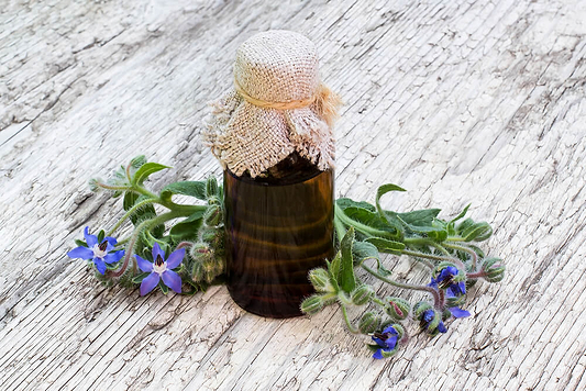 Herbal Support for Perimenopause: The Ultimate Guide to Thriving Naturally During the Transition