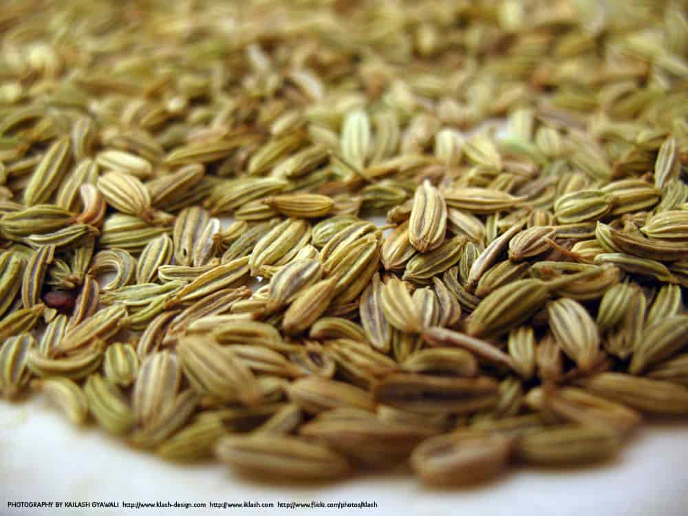 Seven Herbs That Aid Digestion