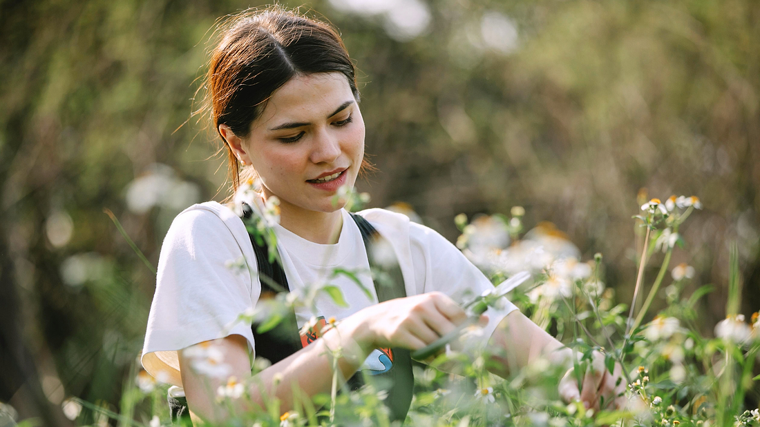 Beat the Burnout: Adrenal Fatigue & Adaptogenic Herb Support