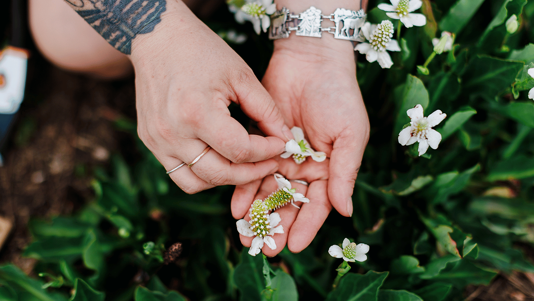 Herbalism 101: What Is Herbalism?
