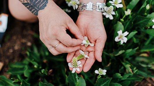 Herbalism 101: What Is Herbalism?