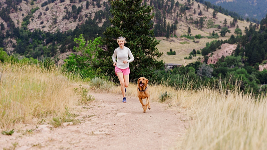 Herbal Allies for Women's Vitality