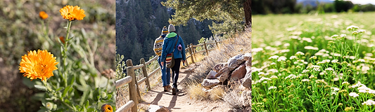 Preparing for Allergy Season (Before the Symptoms hit)