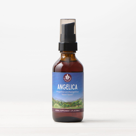 Angelica 2oz Pump