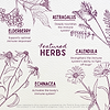 Featured Herbs in Daily Immune Builder For Kids